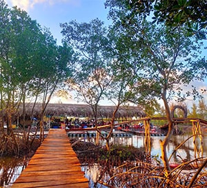 Nông Trại Tôm Khỏe