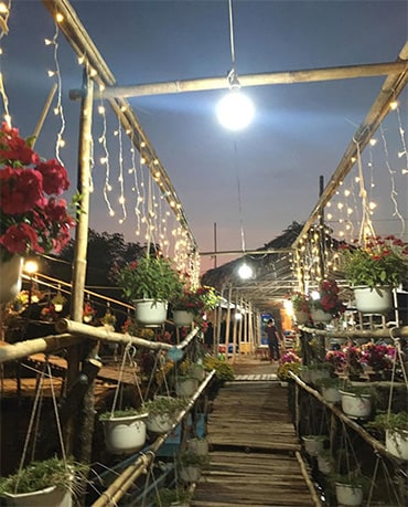 Nông trại Tôm Khỏe