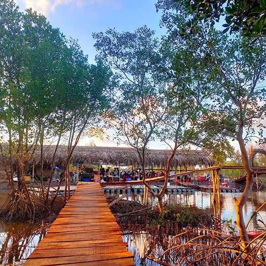 Thư giãn & giải trí